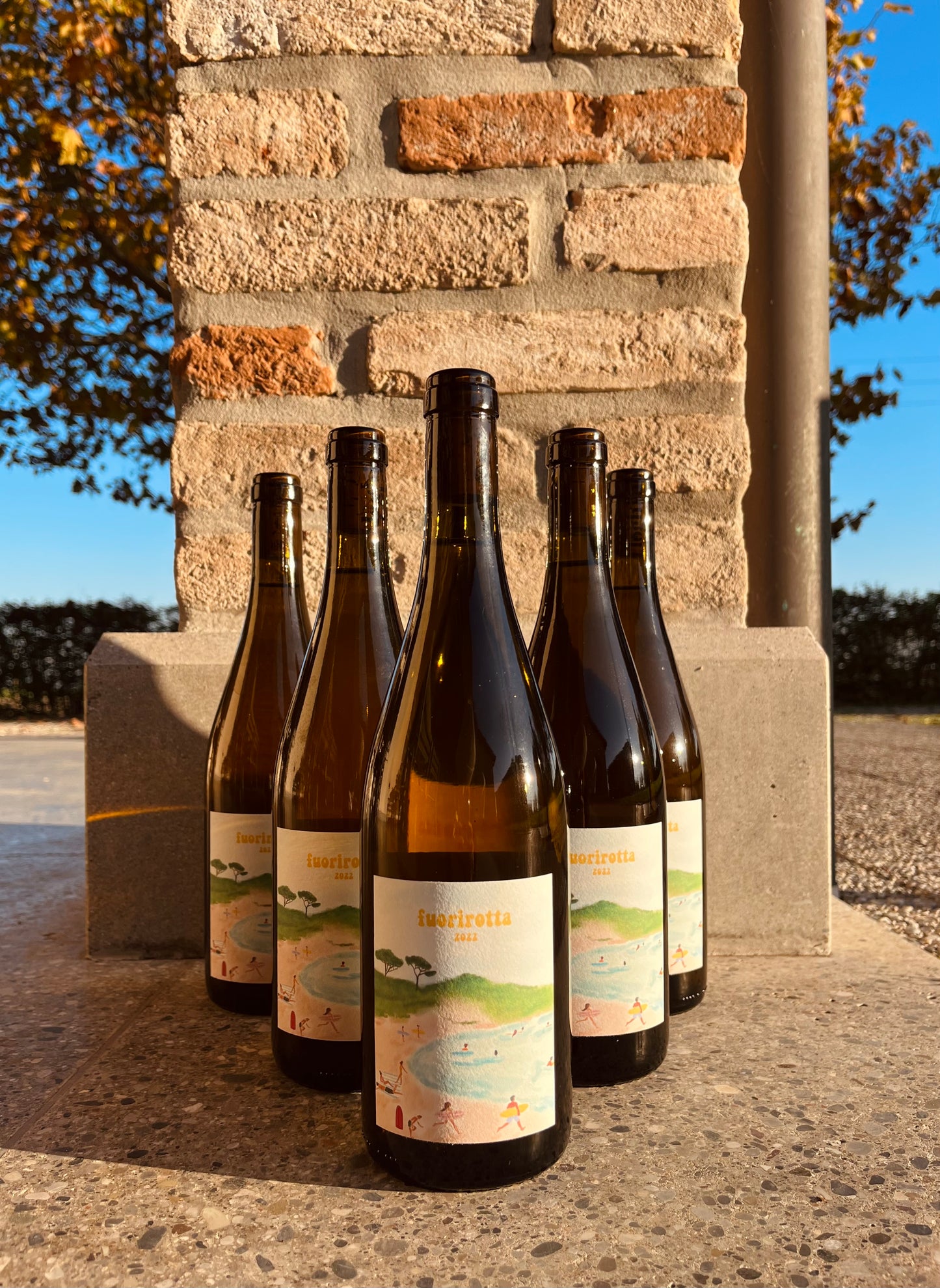 Box da 6 Fuorirotta 2022