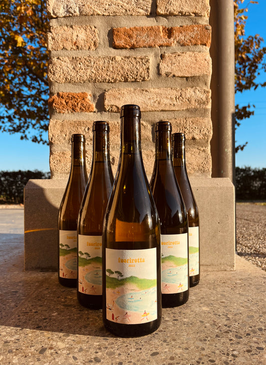 Box da 6 Fuorirotta 2022