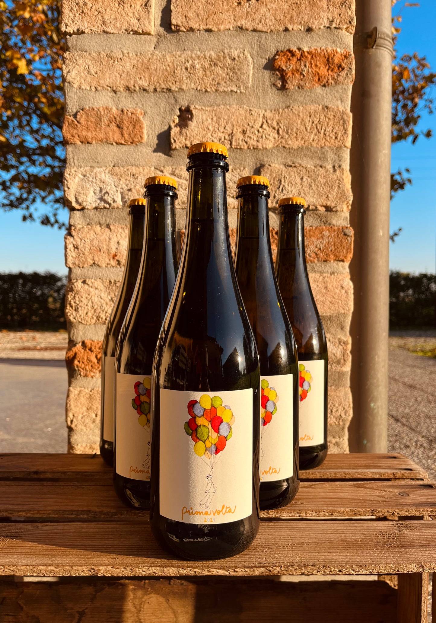 Box da 6 Prima volta 2022