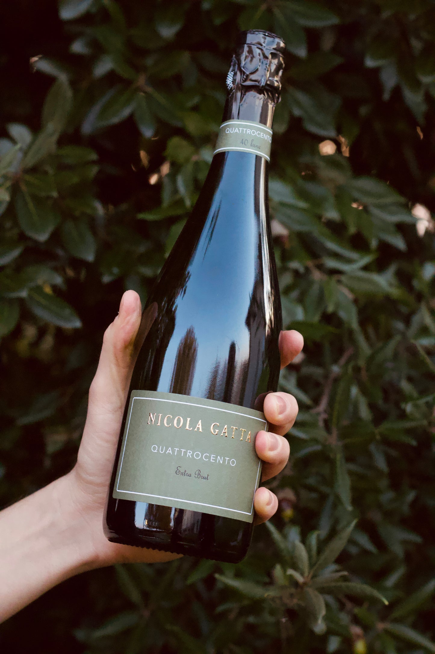 Quattrocento Extra Brut 40 Lune - Nicola Gatta