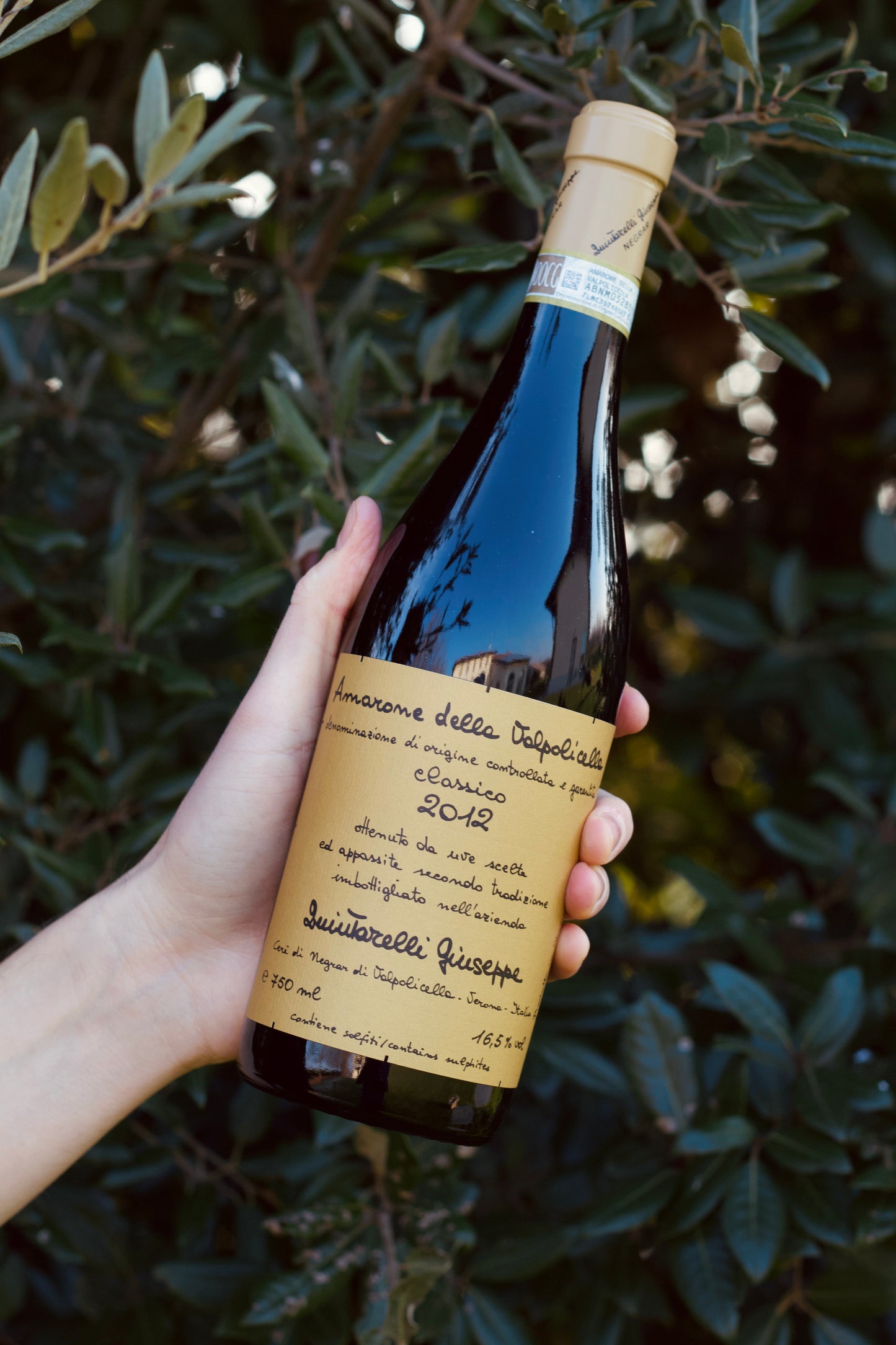 Amarone della Valpolicella Classico 2012 - Quintarelli Giuseppe