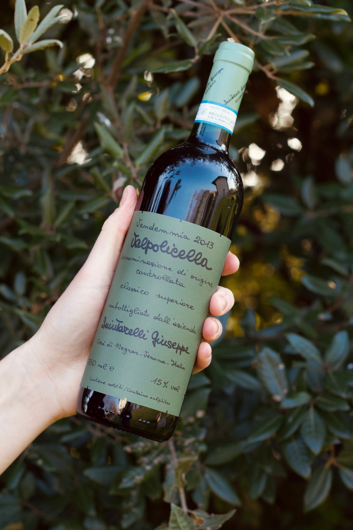 Valpolicella Classico Superiore 2013 - Quintarelli