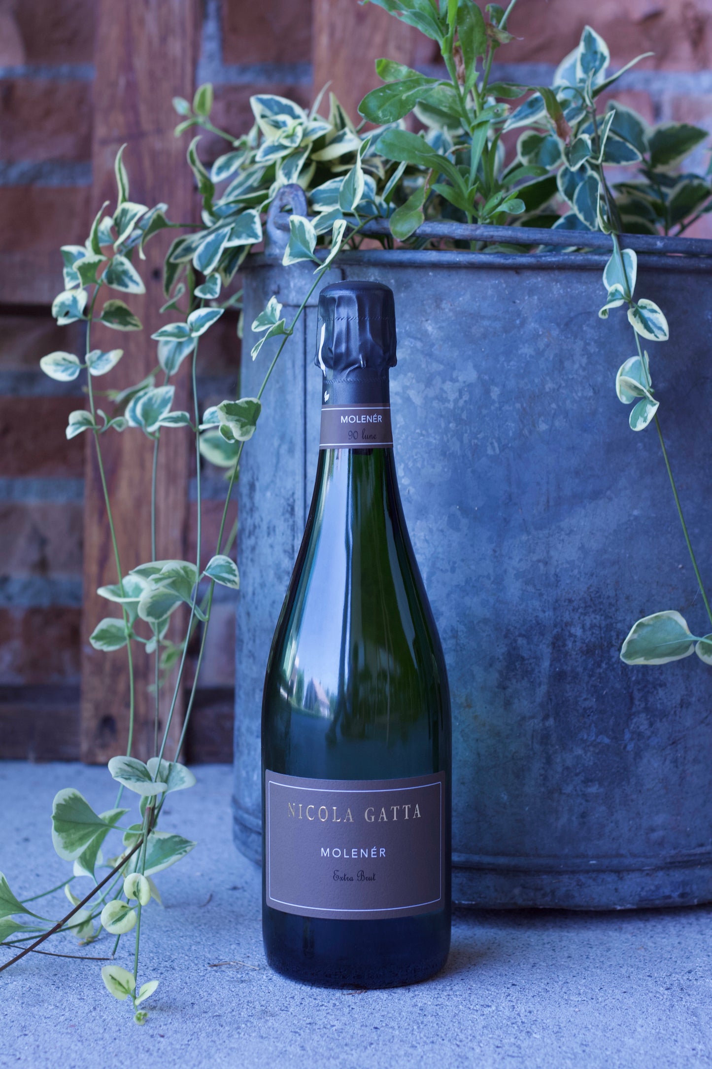 Moléner Extra Brut 90 Lune - Nicola Gatta