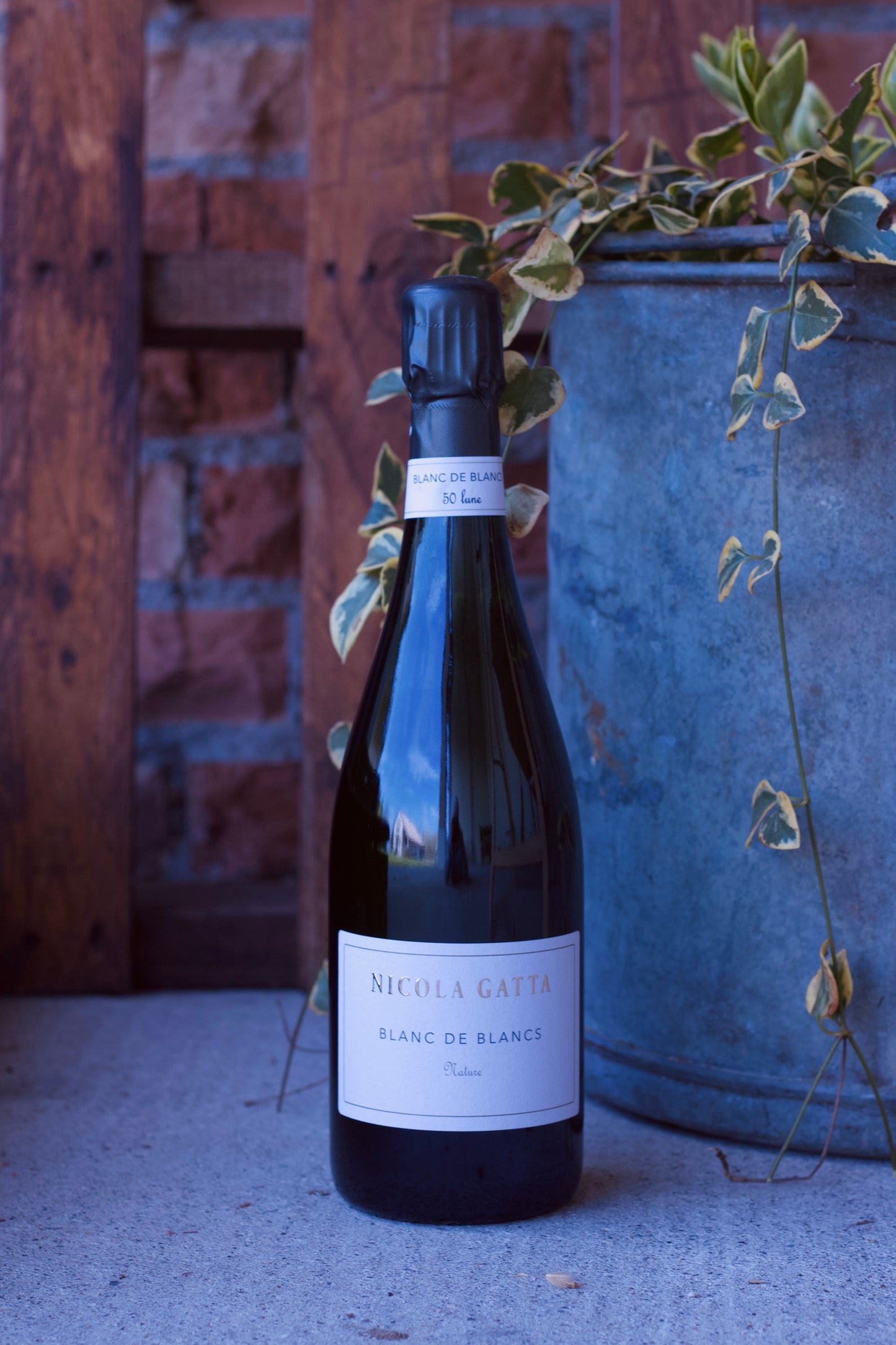 Blanc de Blancs 50 Lune Nature - Nicola Gatta